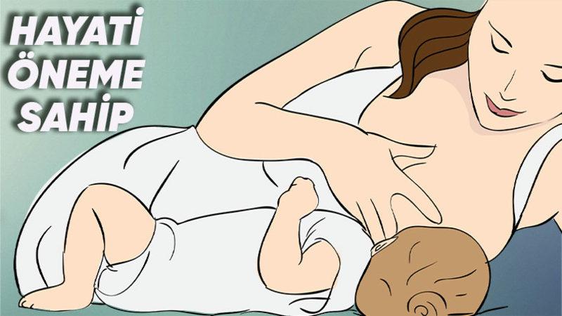 Anne Sütü ile Beslenmenin Kritik Etkisini Gösteren Araştırma: Astımdan Alerjilere Pek Çok Hastalığı Etkiliyor