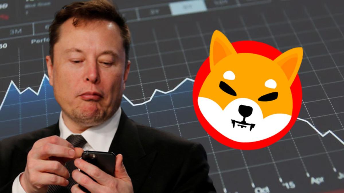 Yine Yaptı Yapacağını: Elon Musk’ın Tweeti ile Uçuşa Geçen Shiba Inu (SHIB), Yine Musk’ın Tweeti ile Dibi Gördü