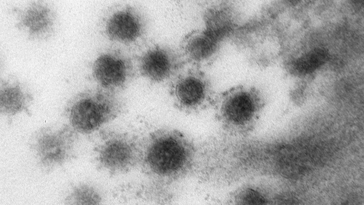 Sal Bizi Artık: Delta Varyantının İlk Kez Fotoğrafı Paylaşıldı