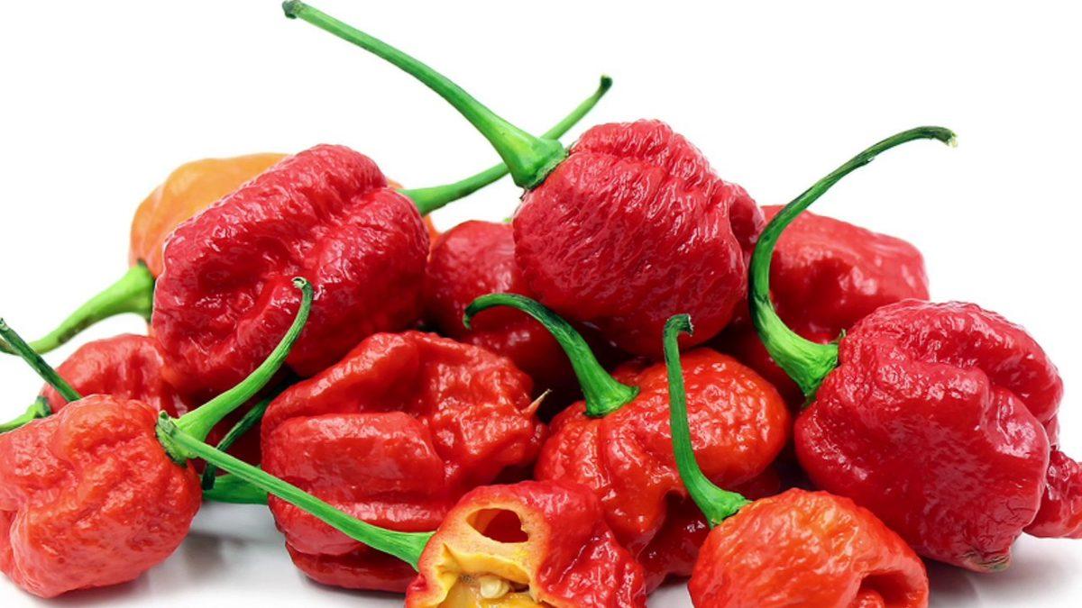 Acı Biberin Ne Kadar Acı Olduğunu Belirleyen Scoville Ölçeği Nedir, Nasıl Hesaplanır?
