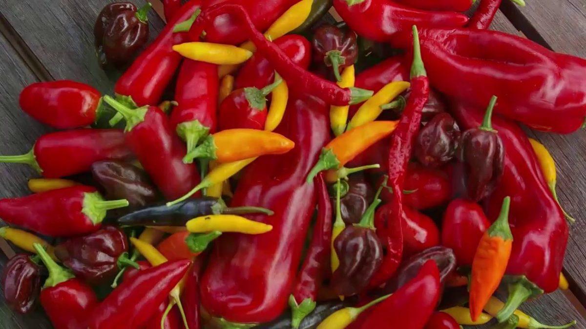 Acı Biberin Ne Kadar Acı Olduğunu Belirleyen Scoville Ölçeği Nedir, Nasıl Hesaplanır?