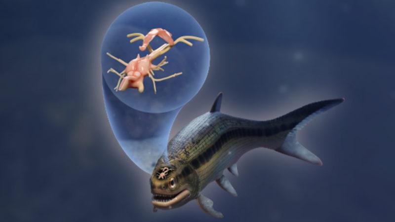 Detaylı Bir Şekilde Korunmuş, 319 Milyon Yıllık Balık Beyni Keşfedildi: Balık Evrimini Anlamaya Katkıda Bulunabilir