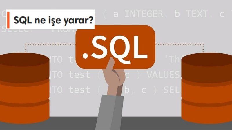 SQL Nedir, Kullanım Alanları Nelerdir? Bazı Komut Örnekleri