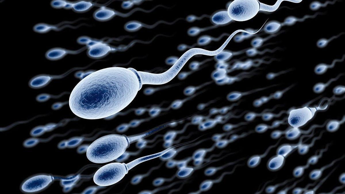 Bilime Göre ’Sağlıklı Çocuk Yapmak İçin’ Sperm Kalitesini Nasıl Artırabilirsiniz?