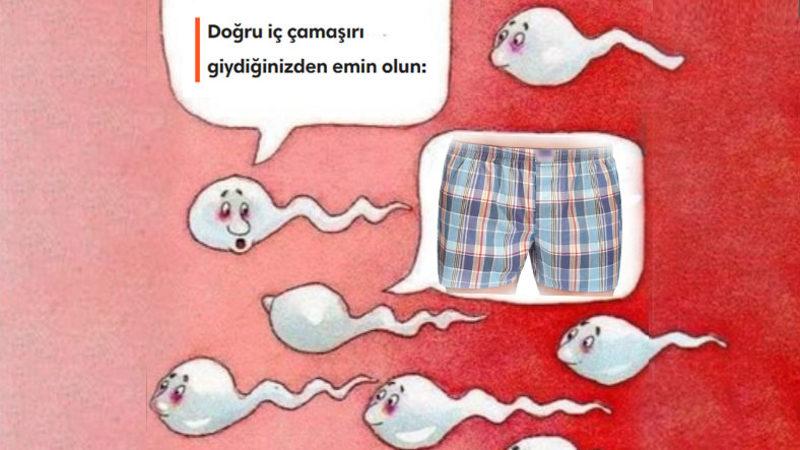 Bilime Göre ’Sağlıklı Çocuk Yapmak İçin’ Sperm Kalitesini Nasıl Artırabilirsiniz?
