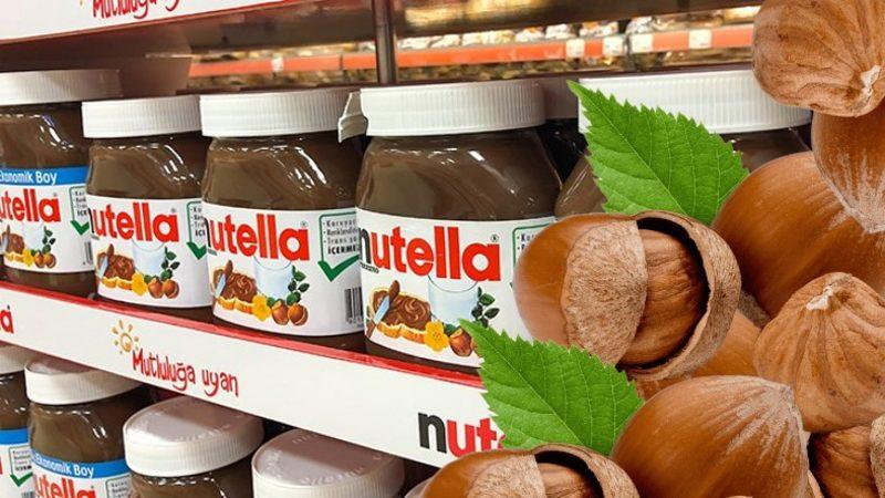 Fındık İşçilerinden "Nutella" İsyanı: Bizi Sömürüyorlar