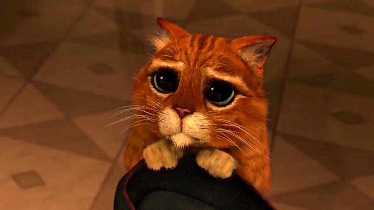 Evcil Hayvanların Psikolojimiz Üzerinde Yarattığı Etkileri Öğrenince Hayvan Sahiplenmek İçin Can Atacaksınız!