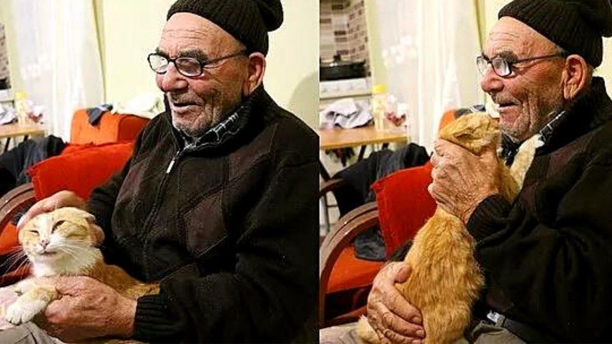 Evcil Hayvanların Psikolojimiz Üzerinde Yarattığı Etkileri Öğrenince Hayvan Sahiplenmek İçin Can Atacaksınız!