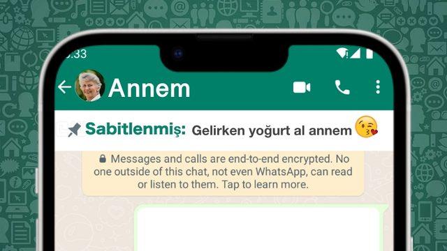WhatsApp’ın Sabitlenmiş Mesaj Özelliğinden İlk Ekran Görüntüsü Geldi ("Ben Söylemiştim" Kavgaları Bitecek)
