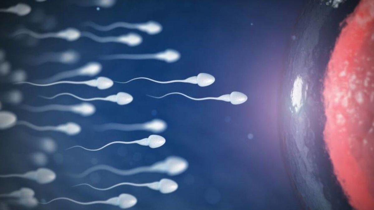 Fosil Yakıtlara Tövbe Ettirecek Araştırma: Hava Kirliliği Sperm Sayısını Azaltıyor