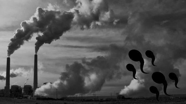 Fosil Yakıtlara Tövbe Ettirecek Araştırma: Hava Kirliliği Sperm Sayısını Azaltıyor