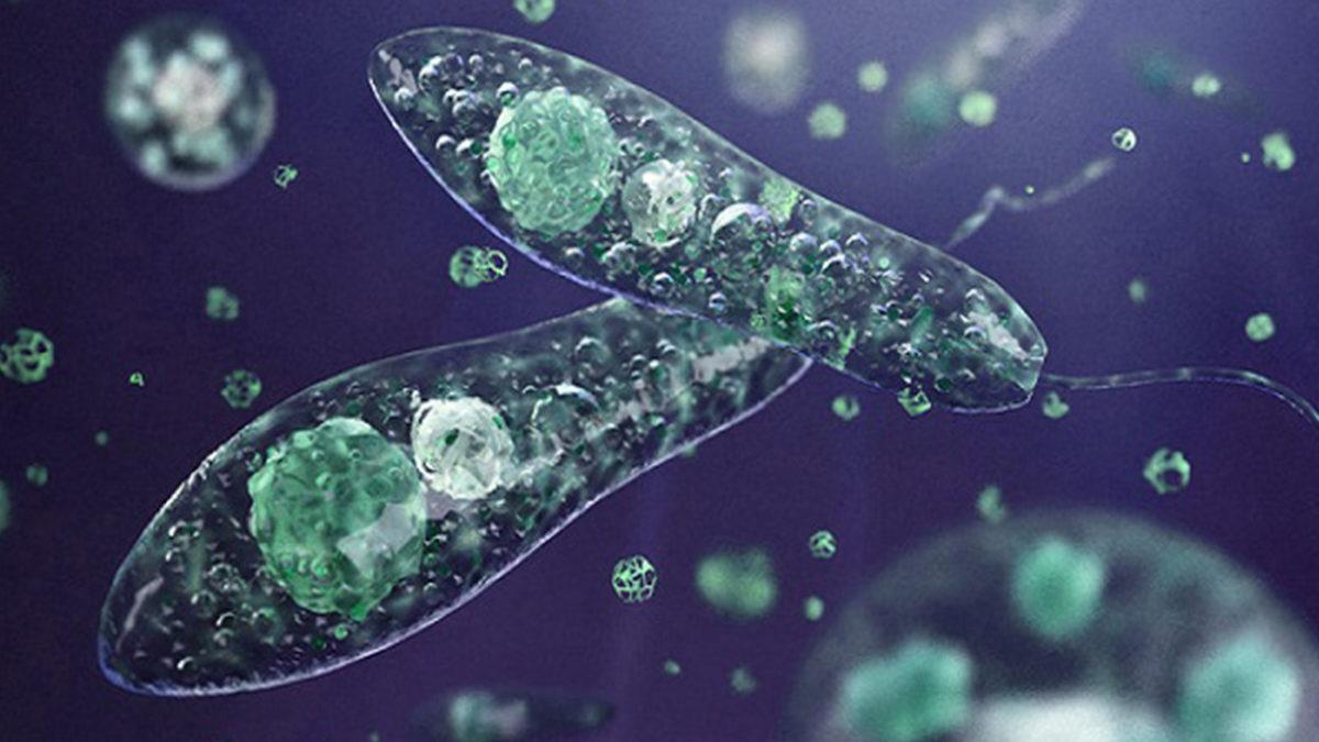 Mikroorganizmalar, İklim Değişikliğinin Sonuçlarını Önceden Gösterebilir