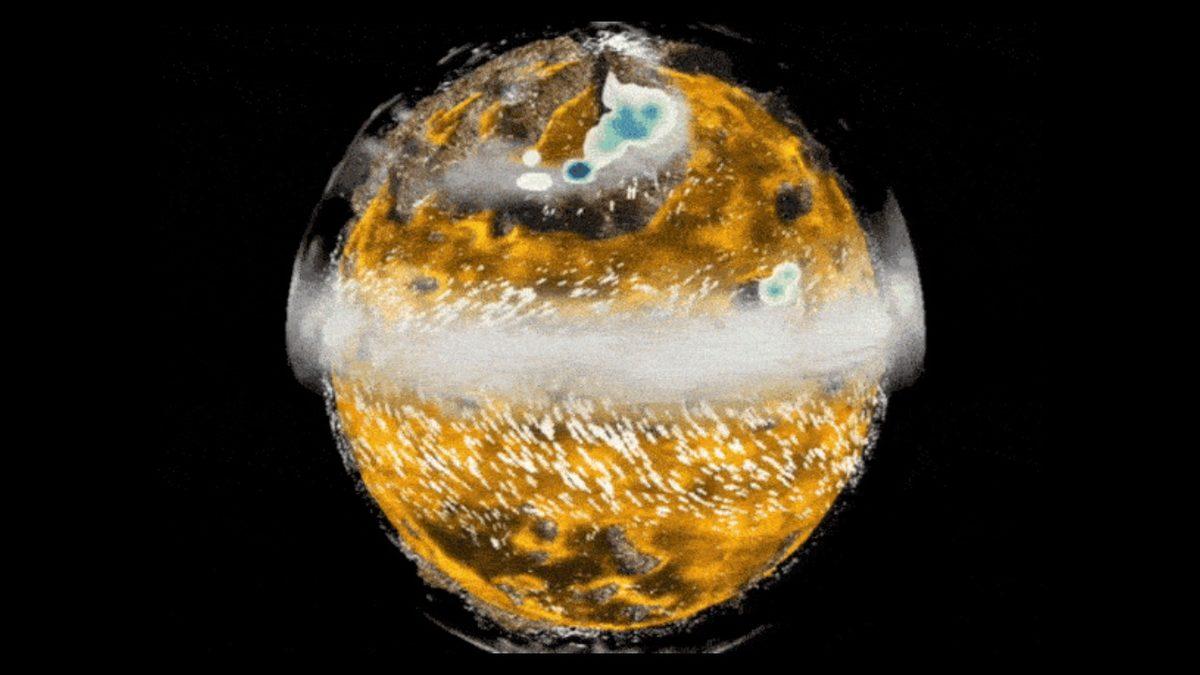 NASA Arrakis’i de Araştırsın: Dune’un Çöl Gezegeni Arrakis, İnsan Yaşamı İçin Uygun mu?