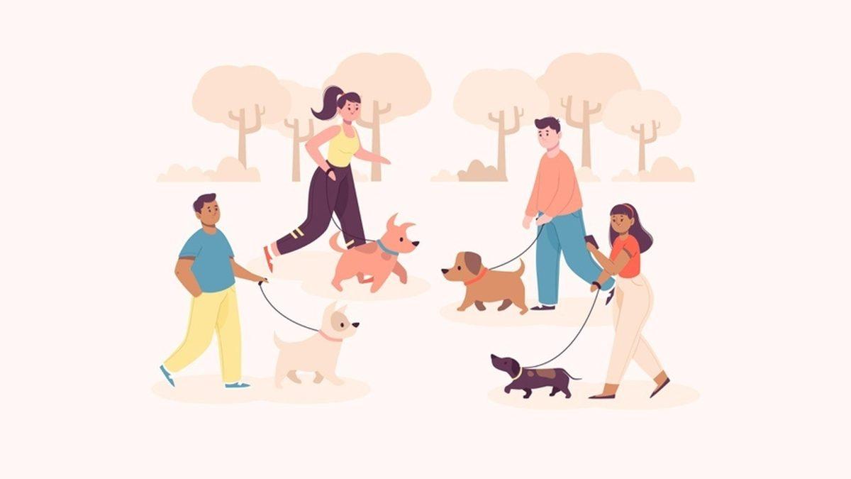 Can Dostuna ’Dost’ Arayanlara Özel Uygulama: Köpeğine Arkadaş Arayan Bir Adam, Köpek ’Tinder’ı Geliştirdi