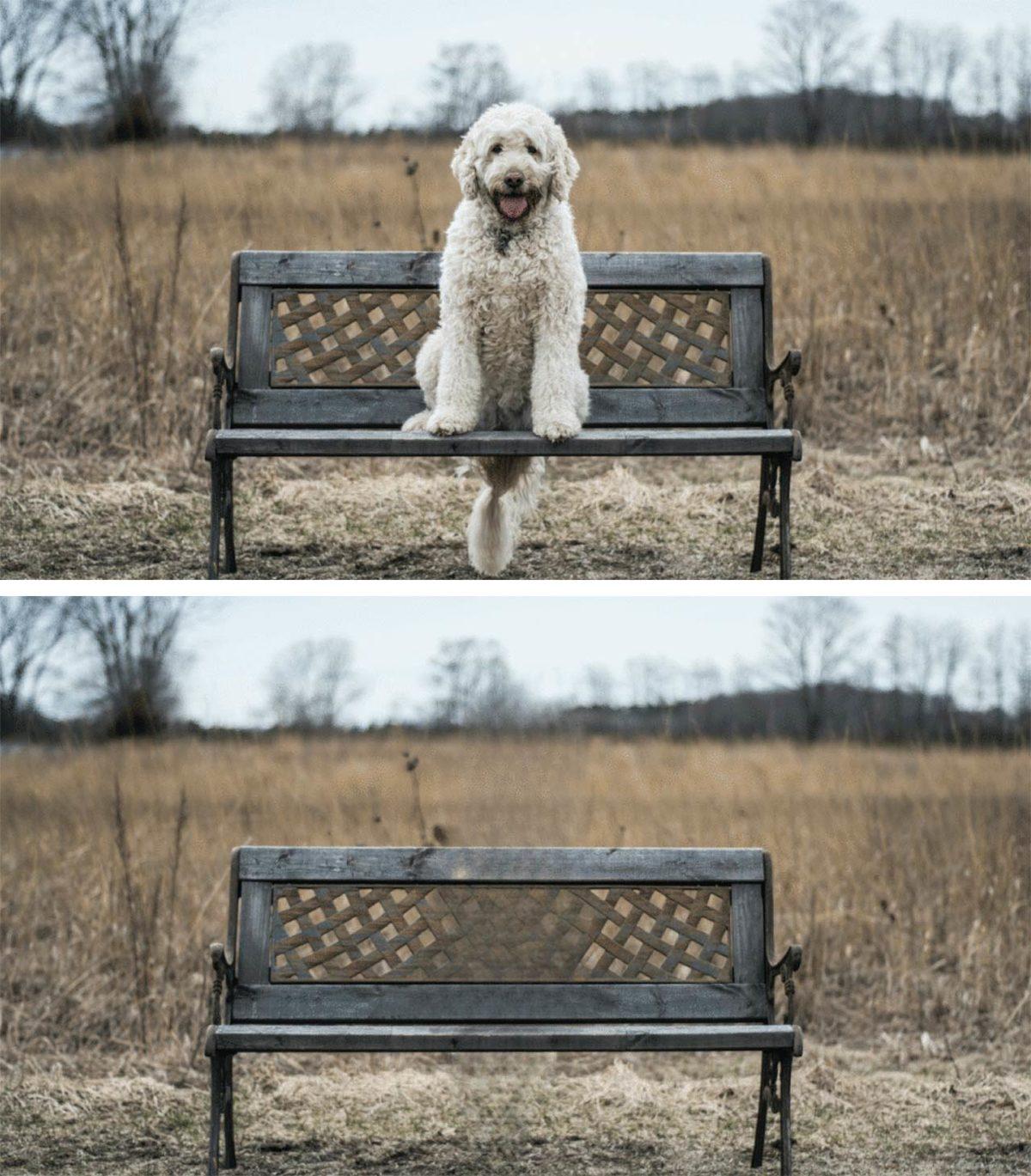 Herhangi Bir Görüntüden İstenmeyen Alanları Kolayca Silebileceğiniz Web Sitesi: CleanUp.pictures