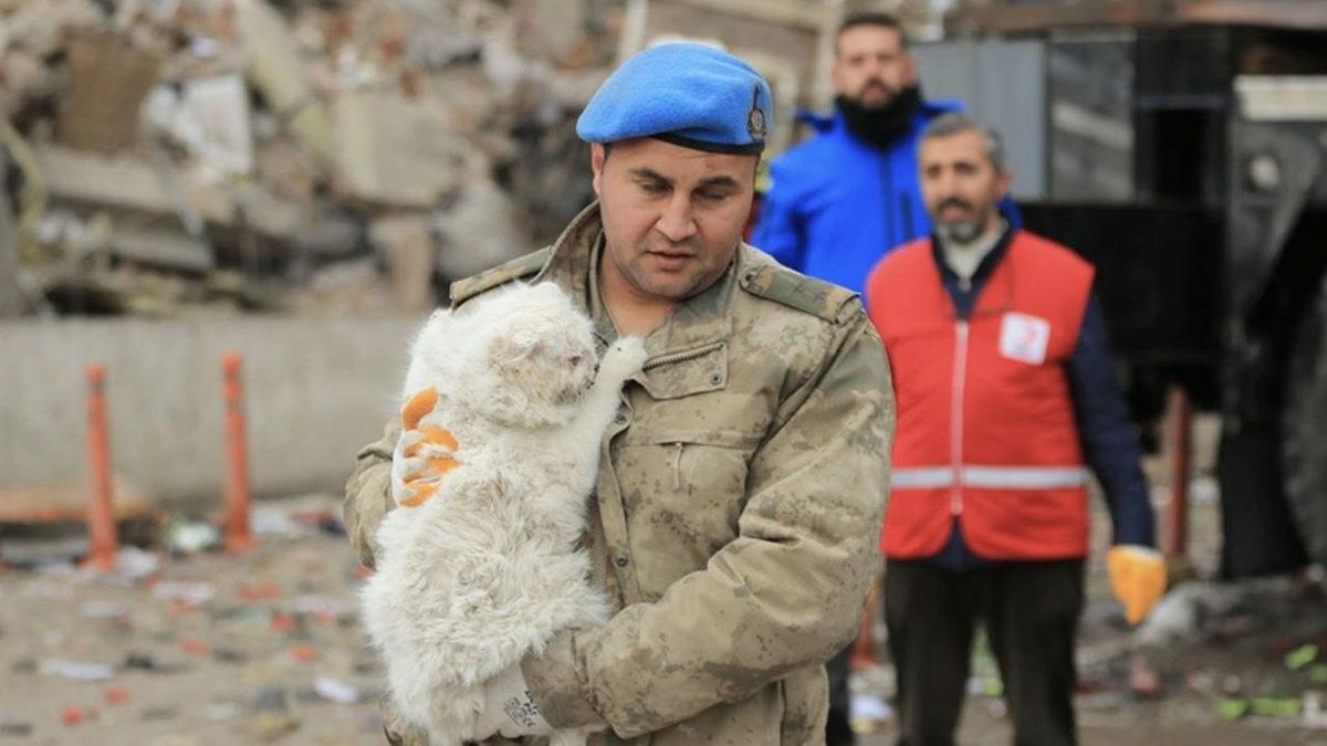Veteriner Hekime Sorduk: Depremden Etkilenen Hayvan Dostlarımıza İlk Yardım Müdahalesi Nasıl Olmalı?