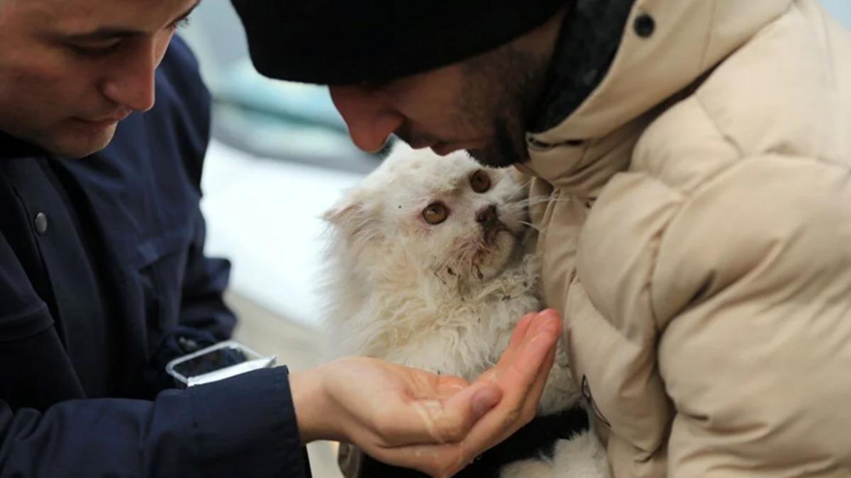 Veteriner Hekime Sorduk: Depremden Etkilenen Hayvan Dostlarımıza İlk Yardım Müdahalesi Nasıl Olmalı?