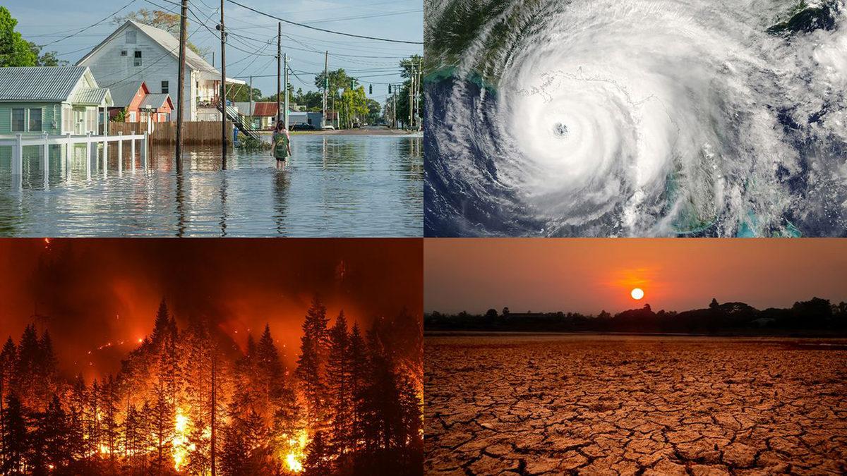 Çevreci Örgütlerden G20 Açıklaması: 