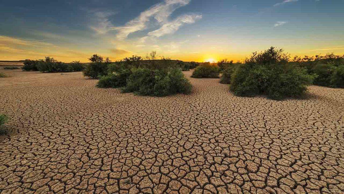 Türkiye, İklim Değişikliği Zirvesinde ‘Gelişmiş Ülke’ Olarak Kaldı: 3 Milyar Dolarlık Fondan Vazgeçildi