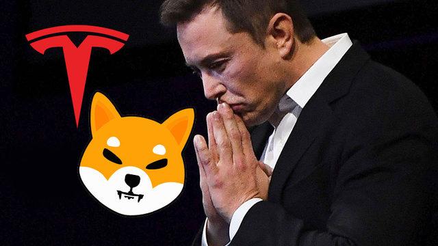 Tesla’nın ‘Meme’ Kripto Para Birimi Shiba Inu ve Bitcoin ile Ödeme Kabul Edeceğini Gösteren Kodlar Ortaya Çıktı