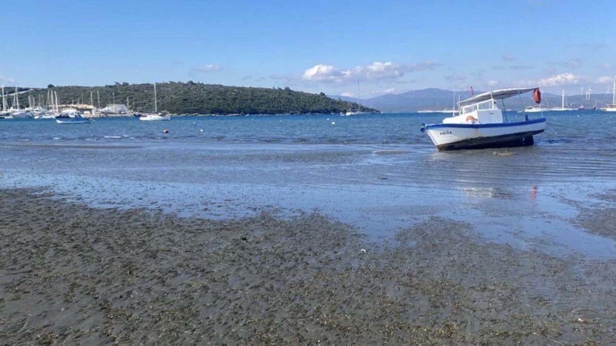 İzmir Depreminde Tsunami Vuran Seferihisar’da Deniz 25 Metre Çekildi: Peki Sular Durup Dururken Neden Çekildi?