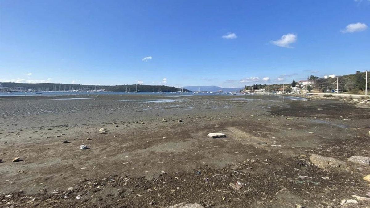 İzmir Depreminde Tsunami Vuran Seferihisar’da Deniz 25 Metre Çekildi: Peki Sular Durup Dururken Neden Çekildi?