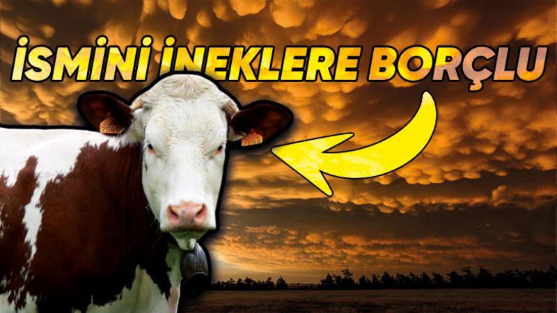 Görünce Yüzünüzde ‘Hınzır Bir Gülümseme’ Oluşmasına Neden Olacak İlginç Şekilli Bulut Kümesi İle Tanışın: Mammatus Bulutları