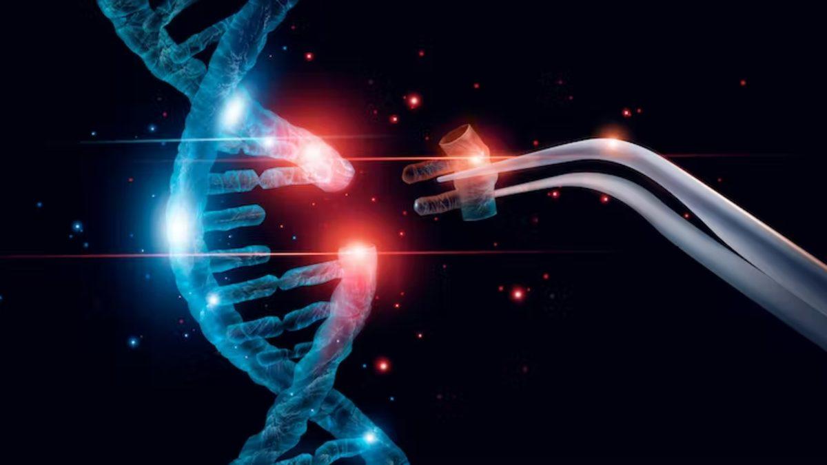 İnternetteki Bütün Verileri 