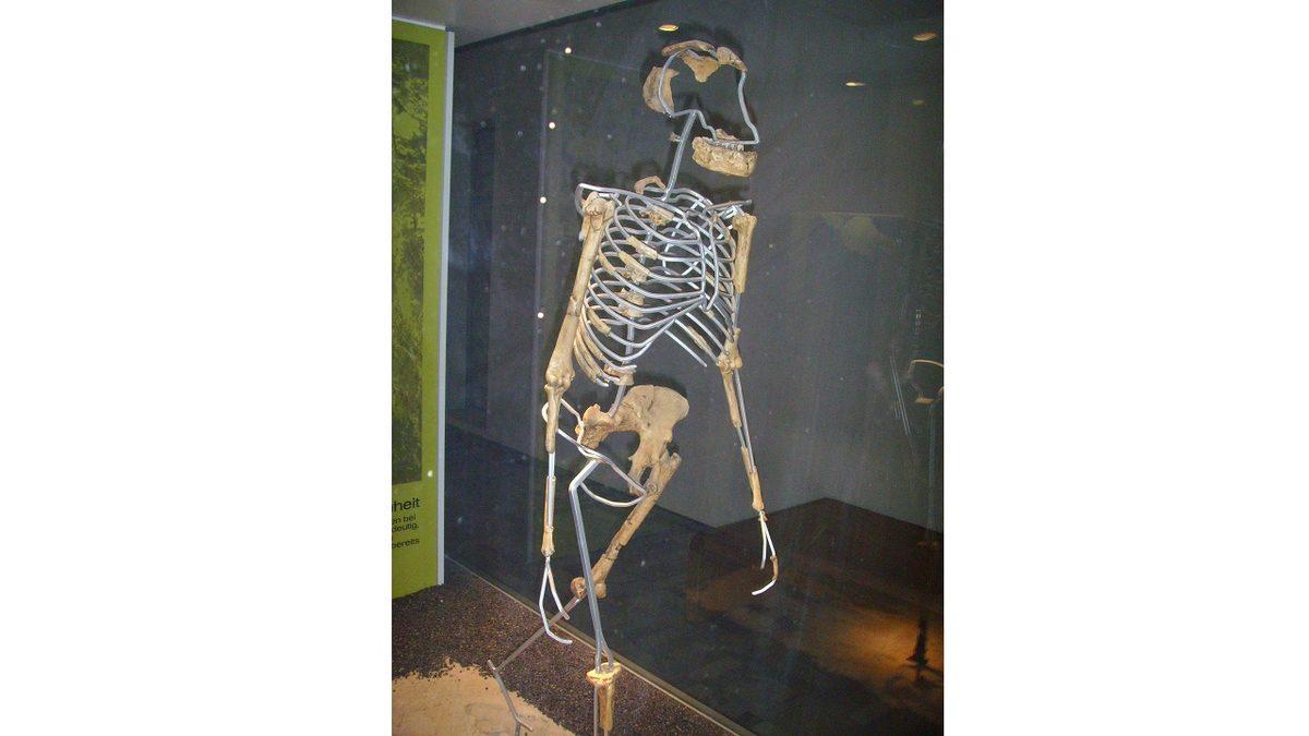 Oluşumu Sırasında Rüzgarların Esme Yönünü Bile Değiştirecek Kadar Güçlü ‘Büyük Rift Vadisi’nin’ İnsanlık Tarihi Üzerindeki ’Vay be’ Dedirten Etkileri