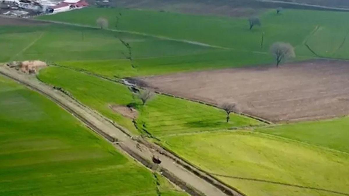 Dünyanın Dört Bir Yanından Uzmanlar, Ülkemizi Sarsan Depremler Hakkında Neler Söylüyor?