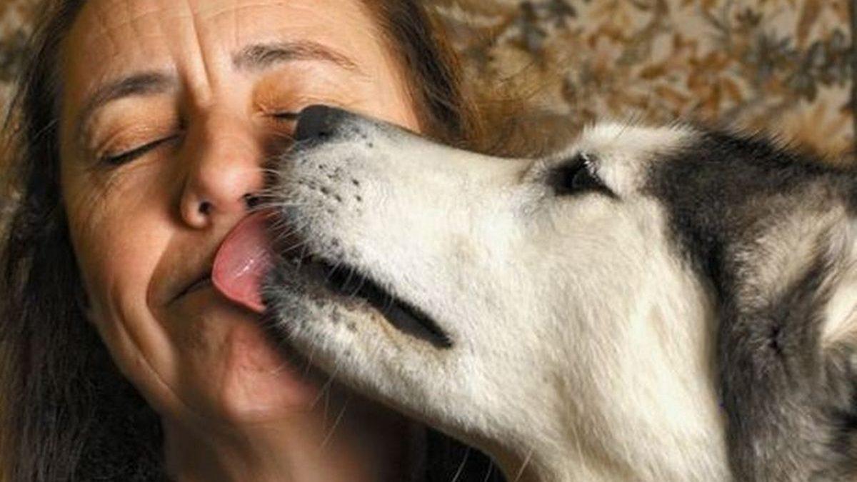 Eğer Evde Yalnız Bir Şekilde Ölürseniz Evcil Hayvanınız Sizi Yiyebilir! Peki Sizi Çok Sevmesine Rağmen Bunu Neden Yapıyorlar?