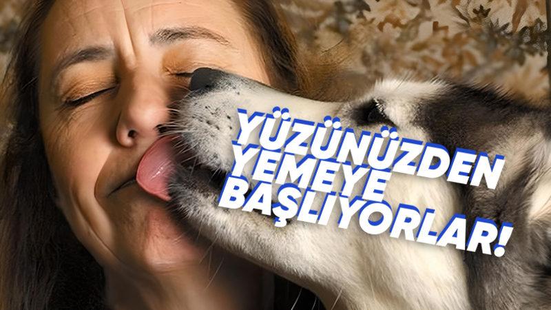 Eğer Evde Yalnız Bir Şekilde Ölürseniz Evcil Hayvanınız Sizi Yiyebilir! Peki Sizi Çok Sevmesine Rağmen Bunu Neden Yapıyorlar?