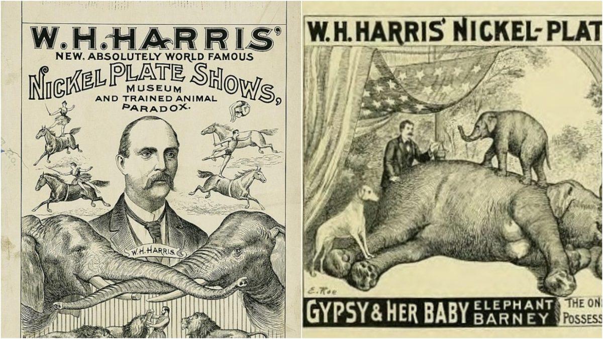 Ayakları Ters Olarak Doğan ve 