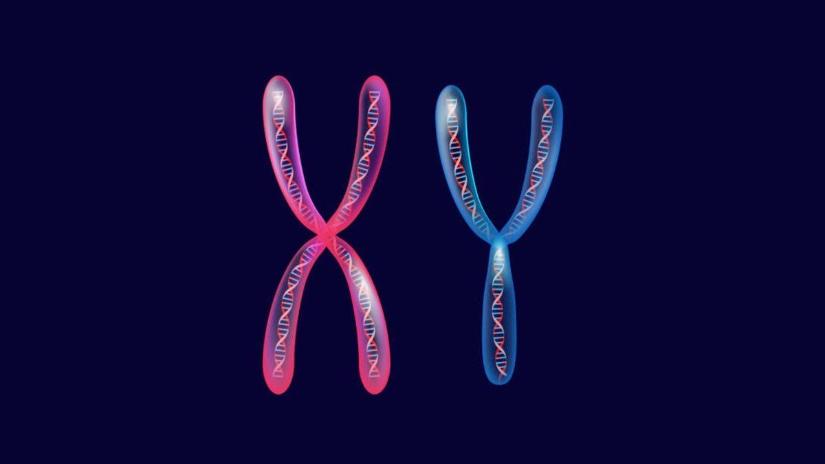 Bilime Göre Erkekler, Neden Kadınlardan Daha Az Yaşar?