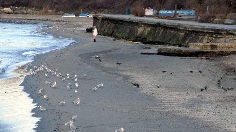 Marmara Denizi 25 Metre Çekildi: Kandilli’den Açıklama Geldi [Video]