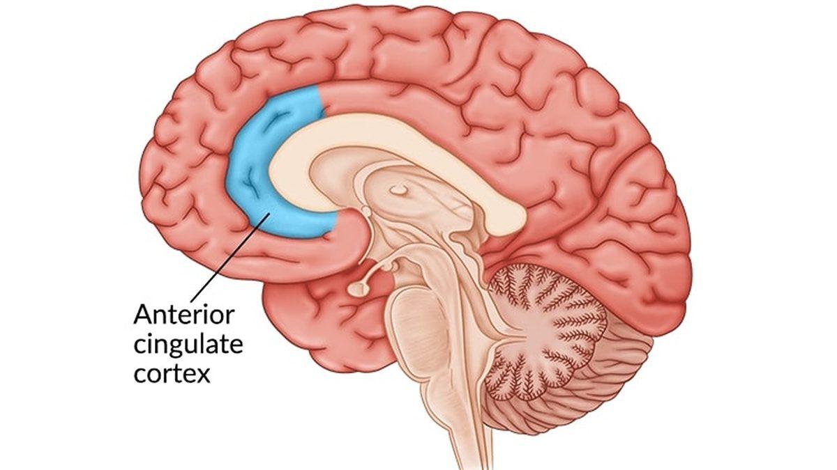 Deprem Sonrası Kaygı ve Stres Yönetimi Nedir, Nasıl Olmalıdır?