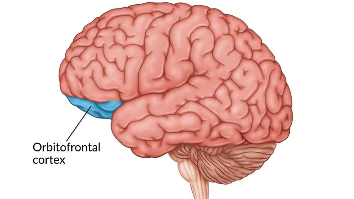 Deprem Sonrası Kaygı ve Stres Yönetimi Nedir, Nasıl Olmalıdır?