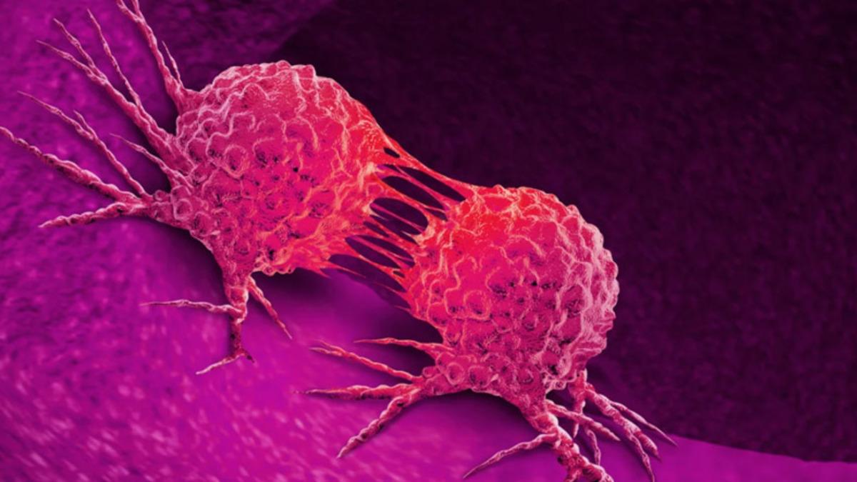 HPV Aşısının, Tüm Kadınları Tehdit Eden Rahim Ağzı Kanserine Karşı Ne Kadar Etkili Olduğu Açıklandı