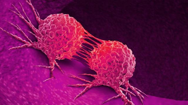HPV Aşısının, Tüm Kadınları Tehdit Eden Rahim Ağzı Kanserine Karşı Ne Kadar Etkili Olduğu Açıklandı