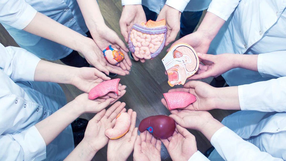 Kalp Nakliyle Son Anda Hayata Dönen Bir Kadının Görünce Yüreğinize Su Serpecek Fotoğrafı