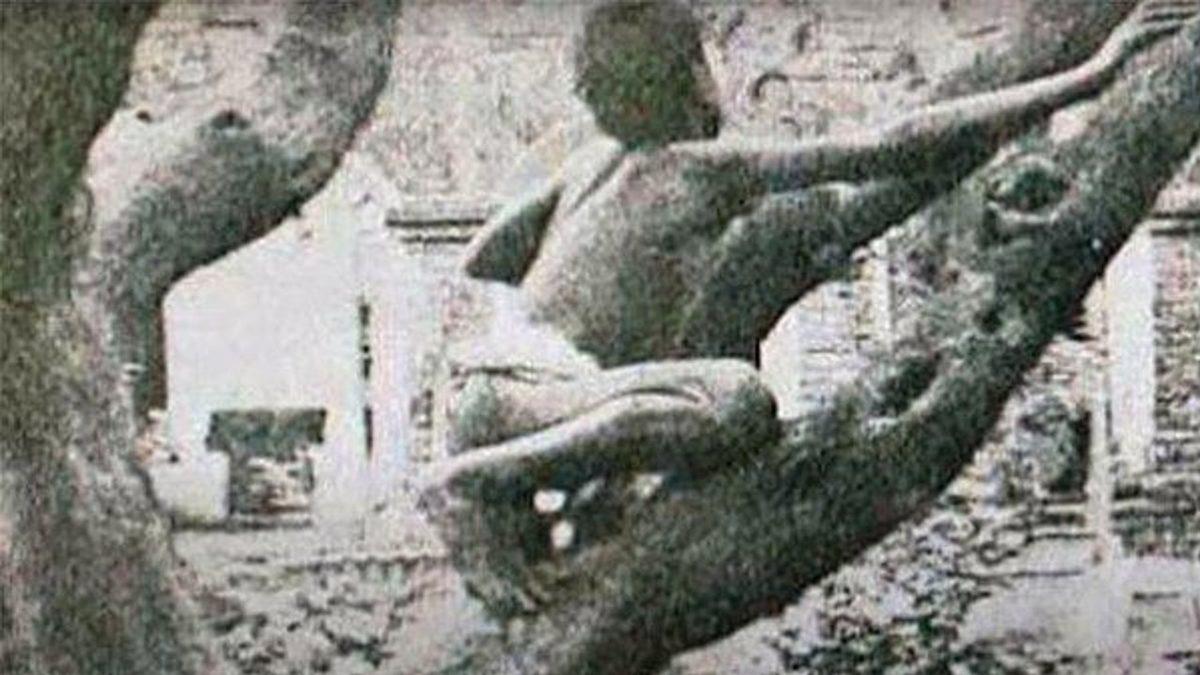 Ormanda Kurtlar Tarafından Büyütülen, Dolunayda Uluyup Kurtlar Gibi Çiğ Et Yiyen Çocukla Tanışın: Dina Sanichar