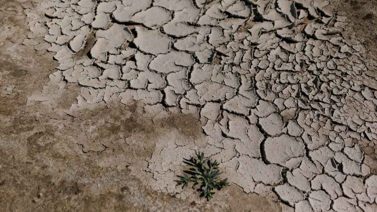 Gerçekten Dünyamızı Kurtarabilecek mi? Tüm Hatlarıyla COP26 İklim Konferansı
