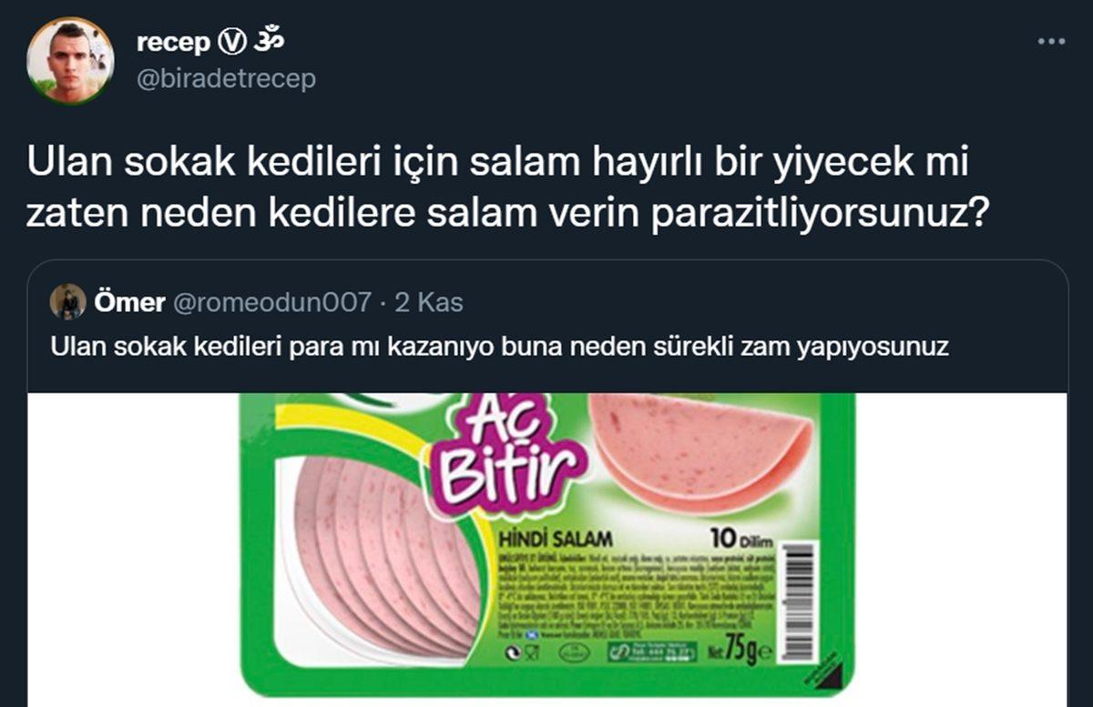 Kaş Yapayım Derken Göz Çıkarmayın: Kedilere Neden Salam Vermemelisiniz?
