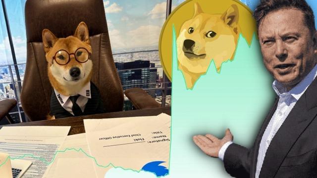 Elon Musk Yine Yaptı Yapacağını: İki Tweetle DOGE Uçuşa Geçti