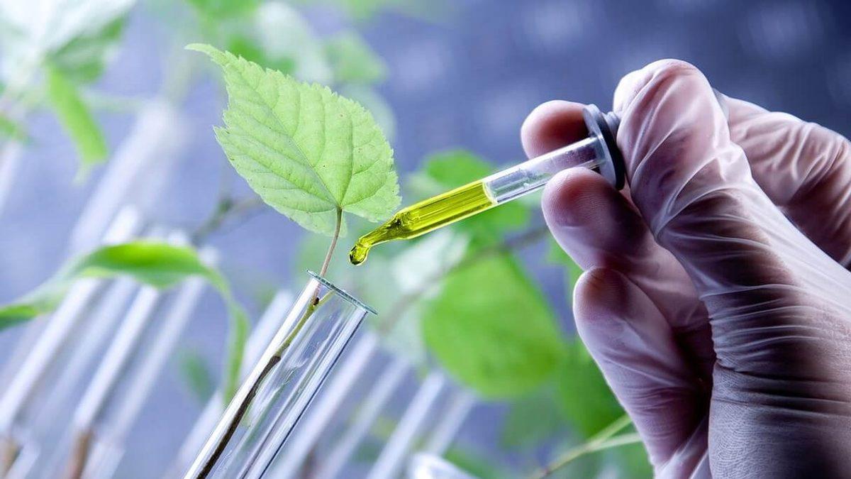 Kullandığımız İlaçlardan Soframızdaki Meyve Sebzelere Kadar Şekil Veren Bilim Dalı: Biyoteknoloji Nedir?