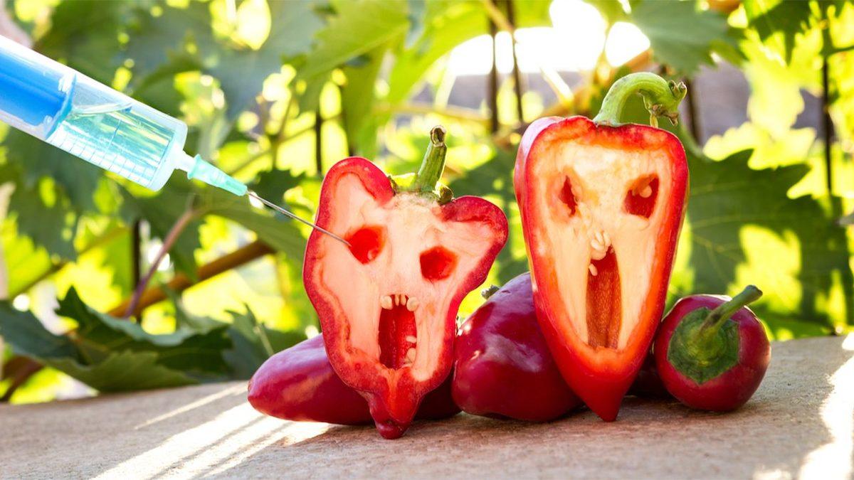 Kullandığımız İlaçlardan Soframızdaki Meyve Sebzelere Kadar Şekil Veren Bilim Dalı: Biyoteknoloji Nedir?