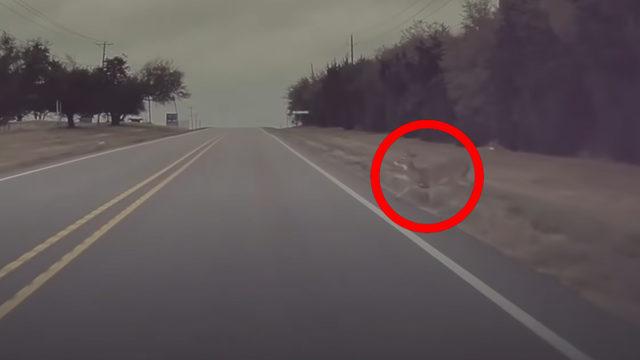 Tesla Model S’in Otonom Sürüş Sisteminin İnsanüstü Refleksle Kazadan Kurtulduğu Anlar [Video]