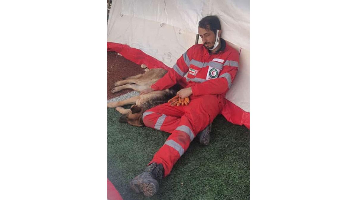 Köpek Eğitmenine Sorduk: Arama Kurtarma Köpekleri Nasıl Bir Eğitimden Geçerek Onlarca İnsanın Hayatını Kurtarıyor?