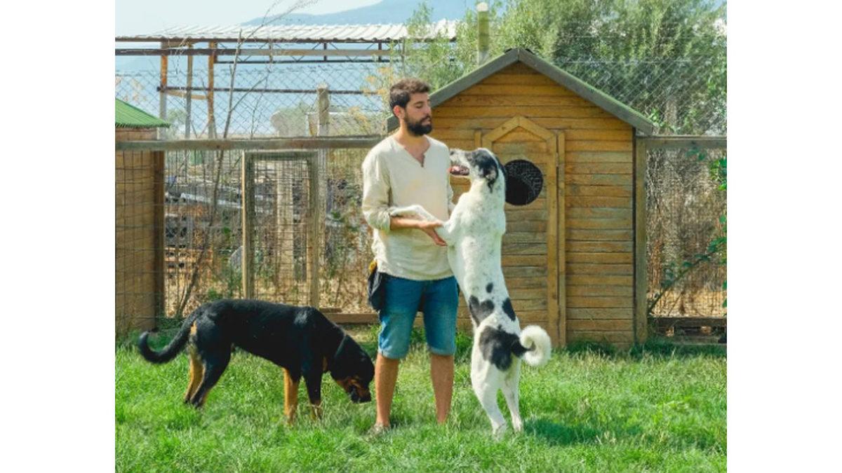 Köpek Eğitmenine Sorduk: Arama Kurtarma Köpekleri Nasıl Bir Eğitimden Geçerek Onlarca İnsanın Hayatını Kurtarıyor?