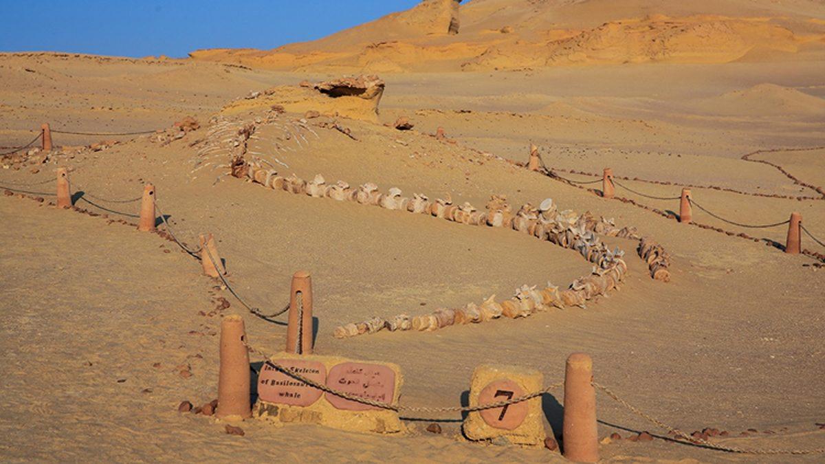 Çöllerin Ortasında Bulunan 